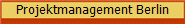 Projektmanagement Berlin