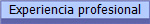 Experiencia profesional